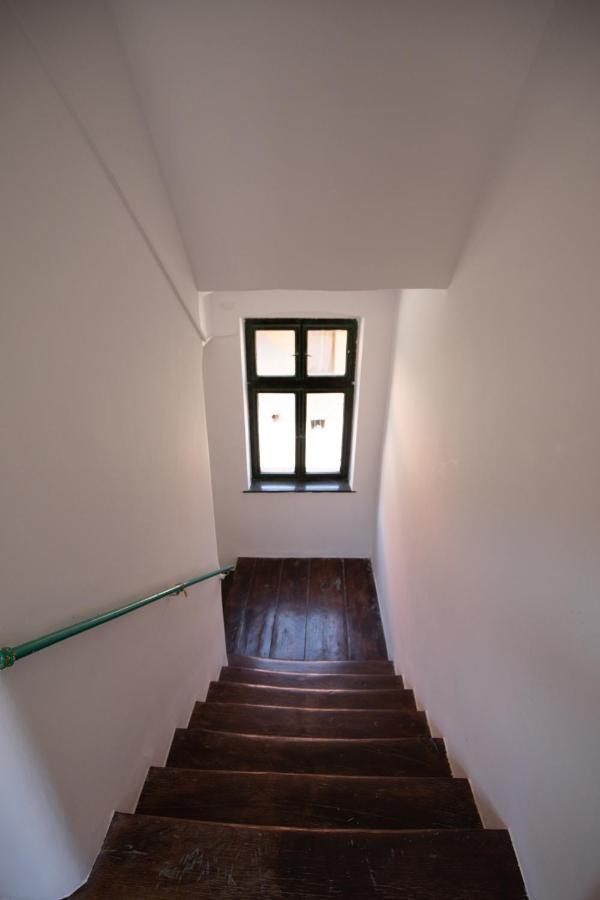 Studio Manzur Brasov Bagian luar foto